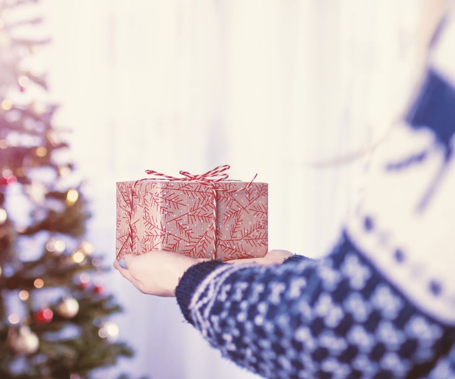 someone holding a christmas gift with tree in back.jpg