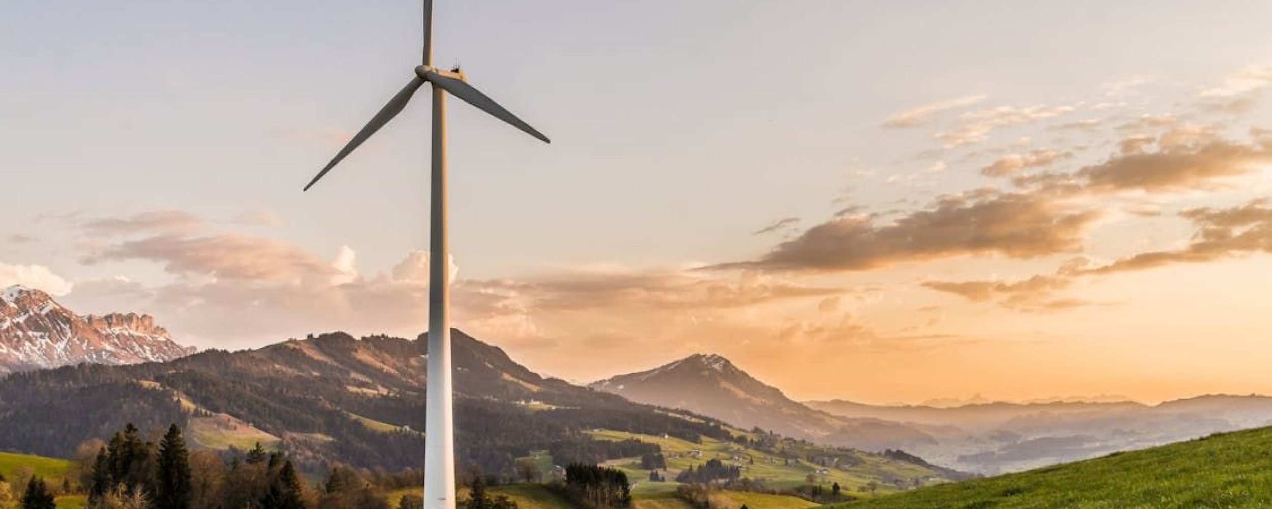 renewable energy.jpeg