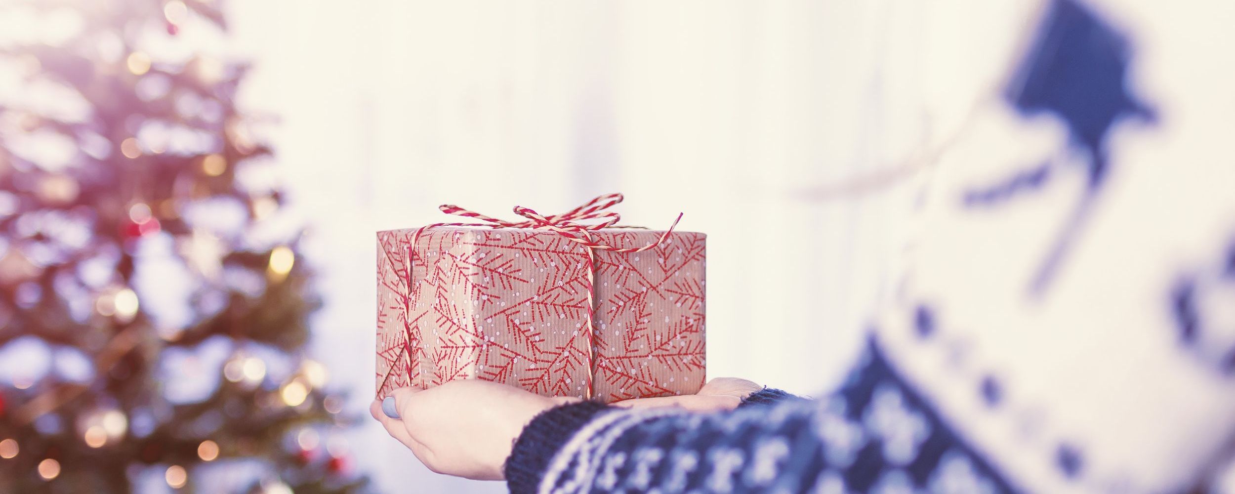 someone holding a christmas gift with tree in back.jpg